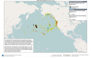 tsunami debris map