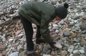looking for rocks